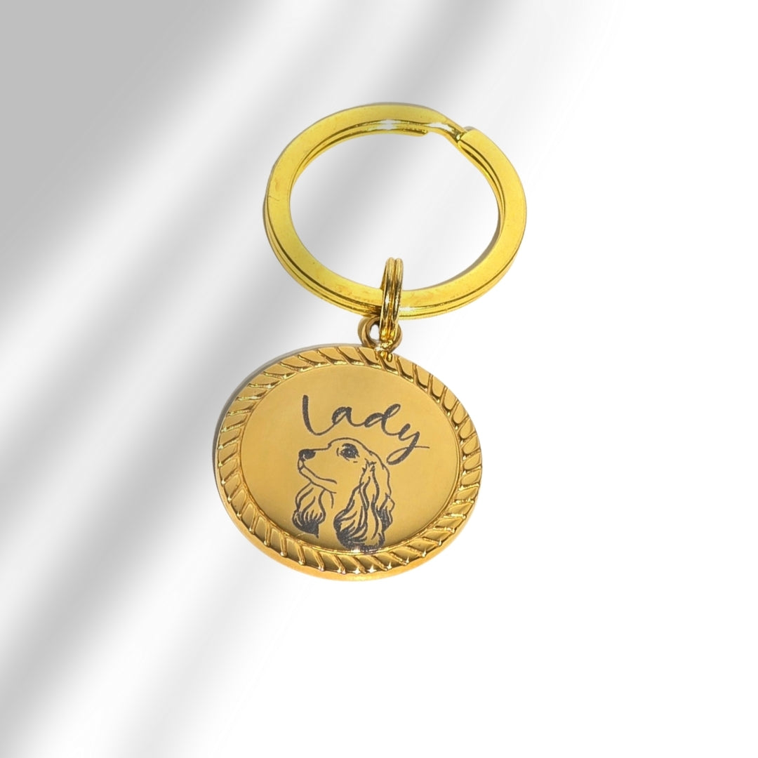 Pet tag with frame