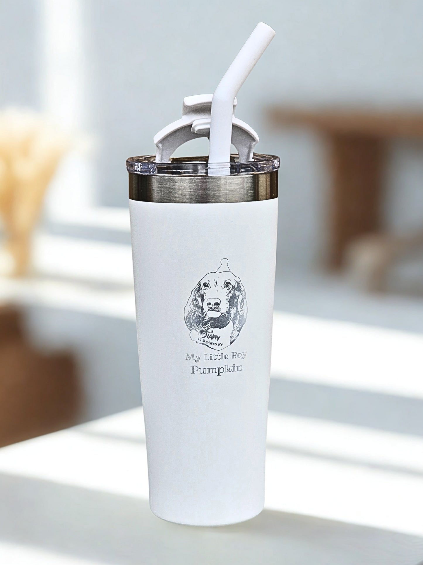 Stainless Steel Smoothie Tumbler