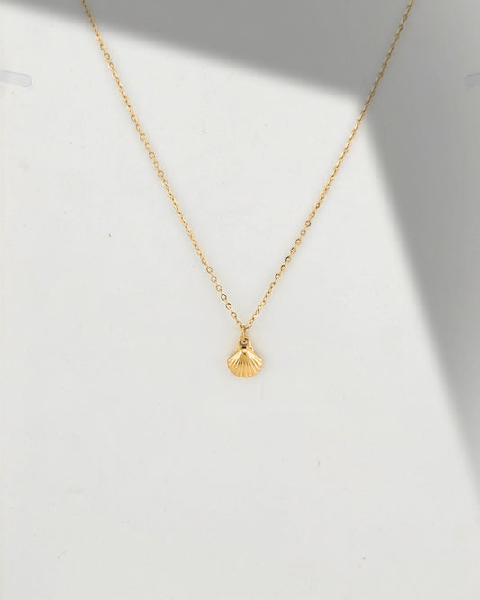 Seashell necklace