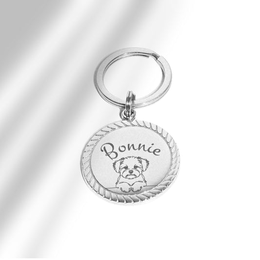 Pet tag with frame
