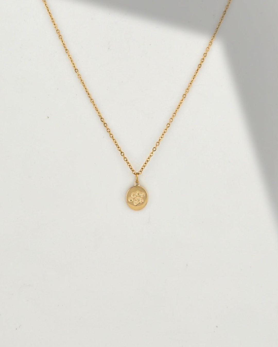 Paw Necklace