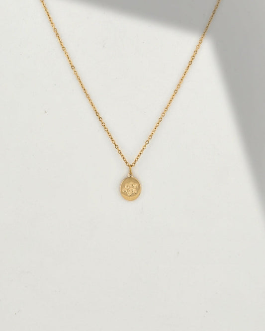 Paw Necklace