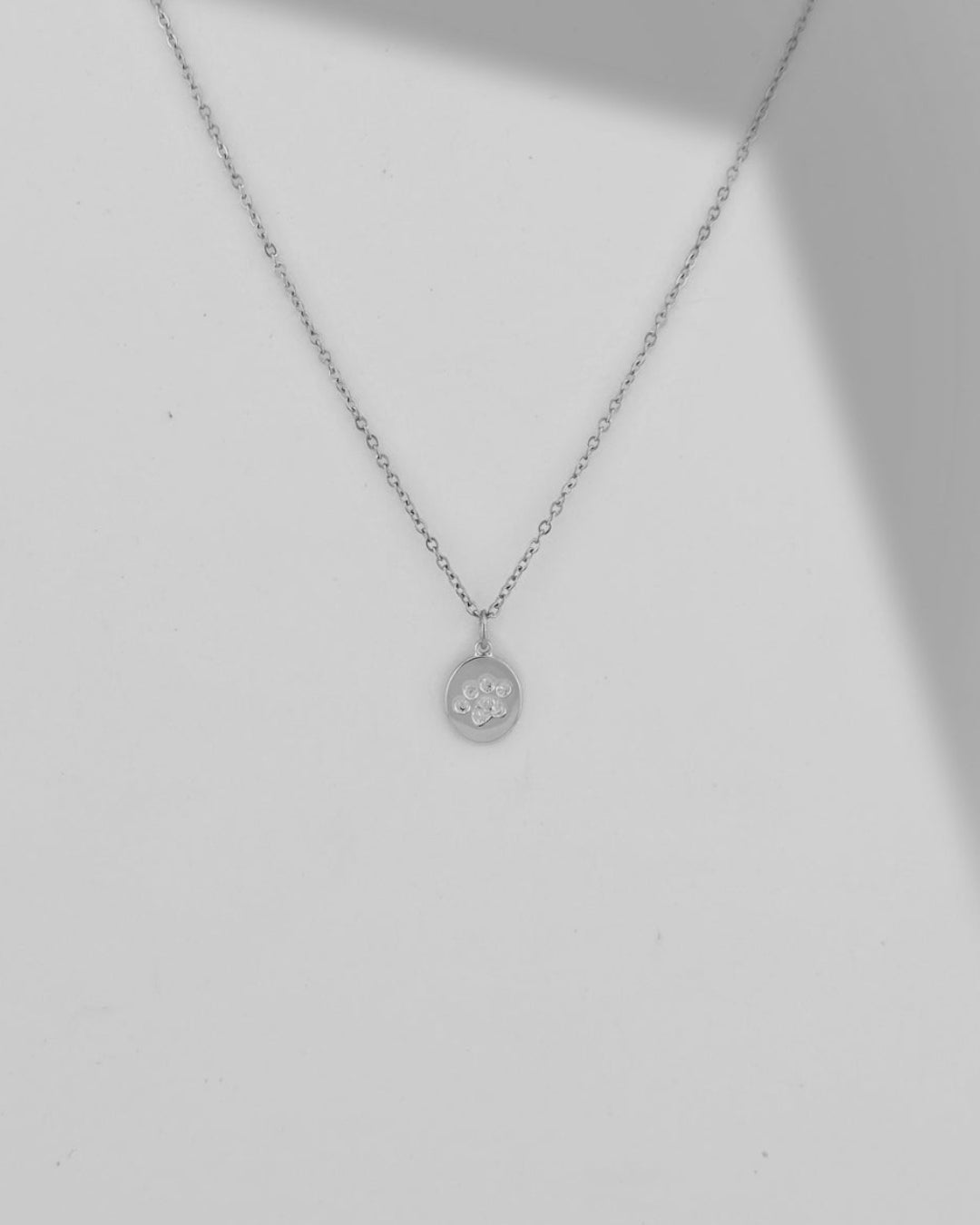 Paw Necklace