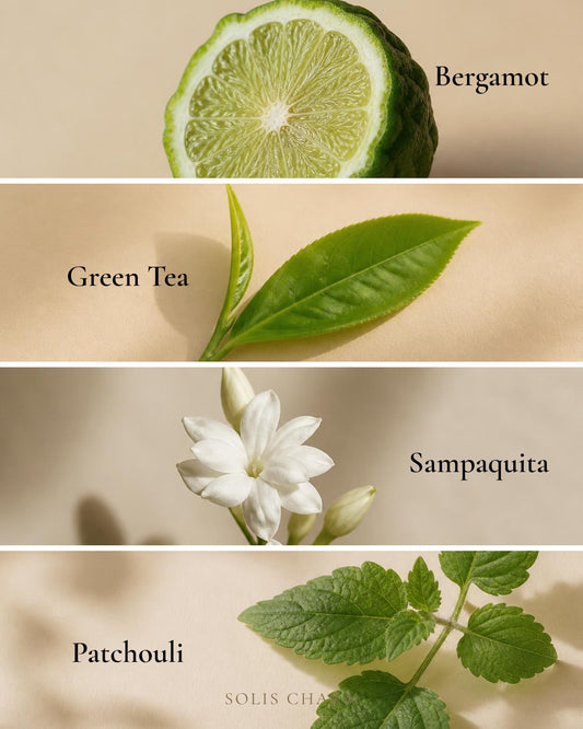 Tea Plantation Ambient Oil