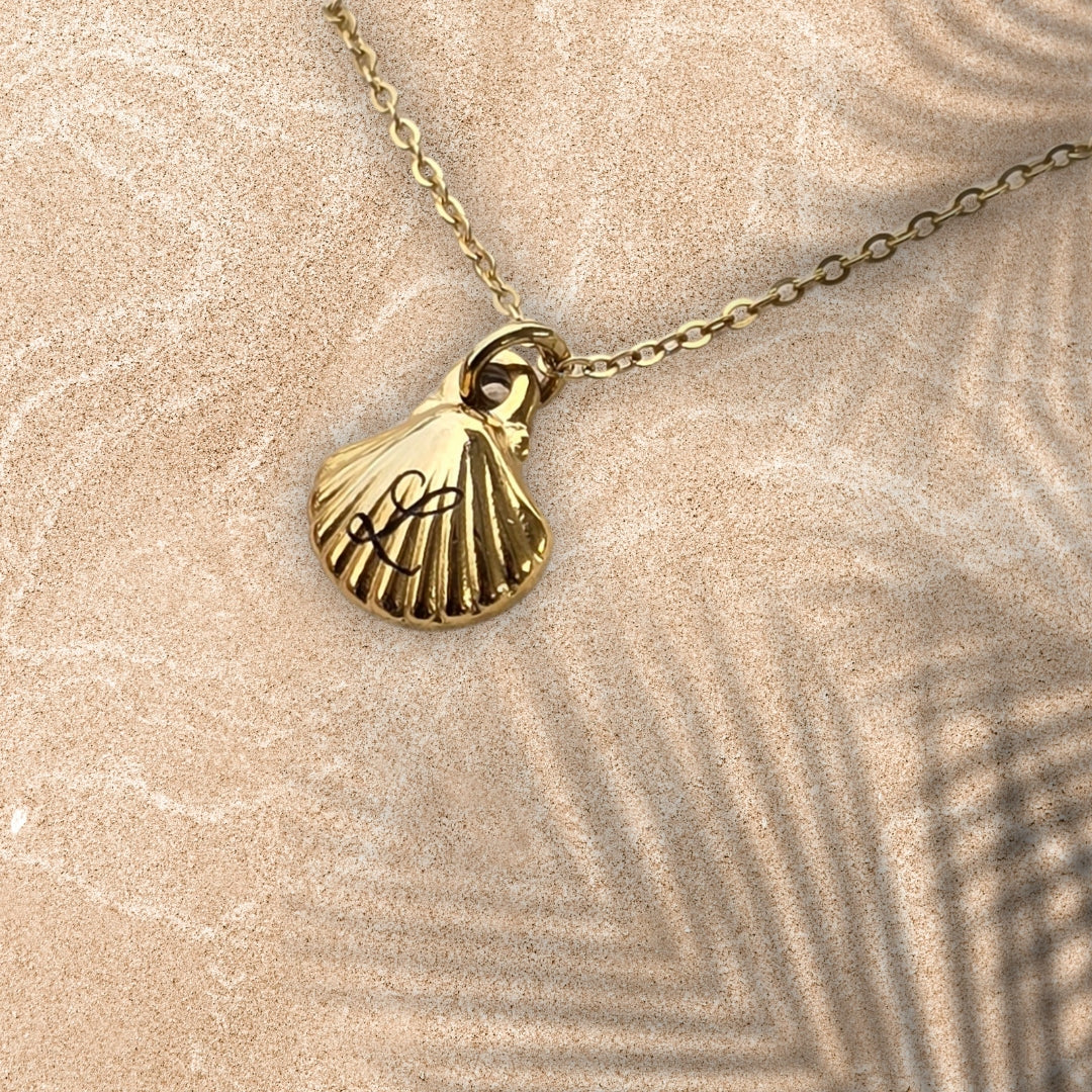 Seashell necklace
