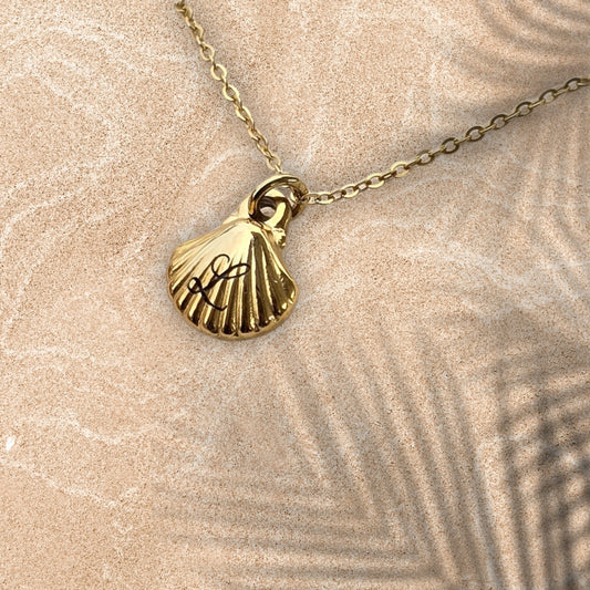 Seashell necklace